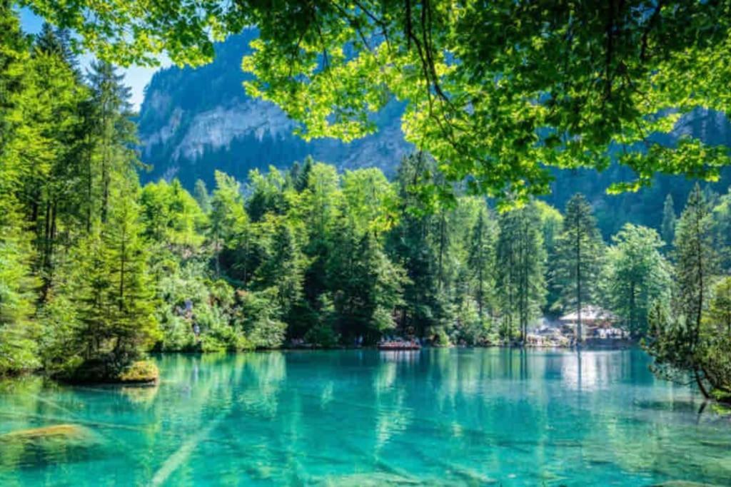 Bellevue & Classy Mountain View Apartment Kandersteg Bagian luar foto